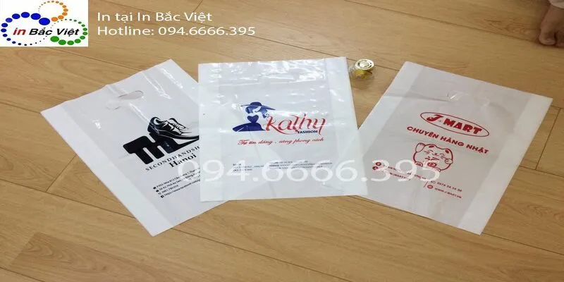 Công ty in túi nilon tại Hà Nội [Bao Rẻ Đẹp]