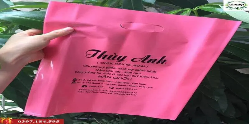 Cơ sở in túi nilon tại Hải Phòng [Giá Rẻ Chiết Khấu Cao]